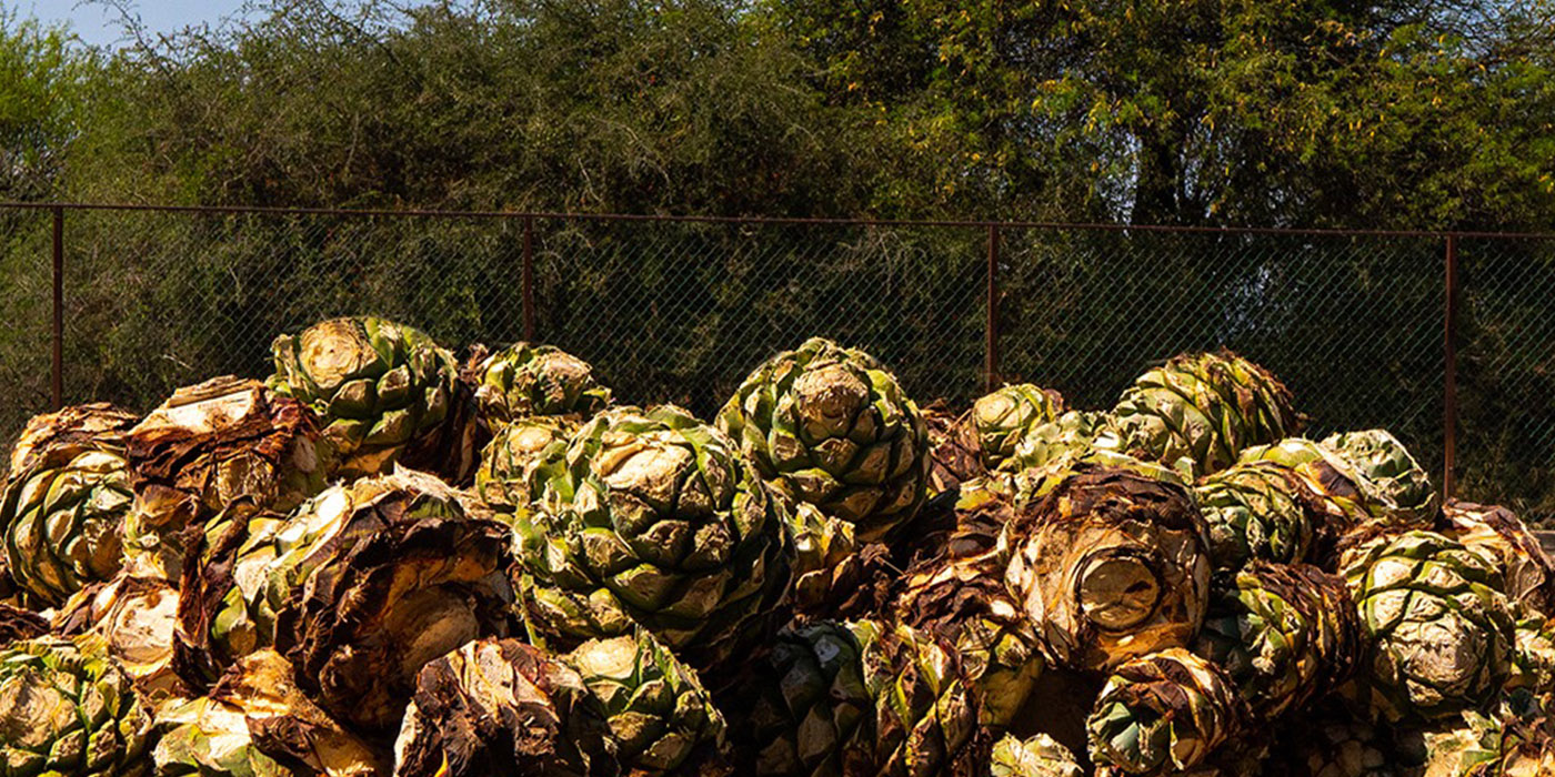 Mezcal Amaras